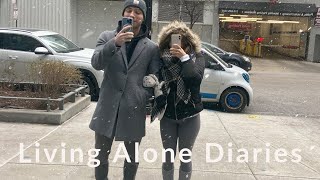 Living Alone Diaries ~ travel vlog new york, and I fell in love by Book Claudy 6,088 views 1 year ago 16 minutes