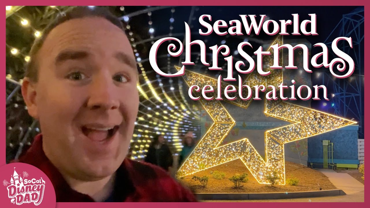 EVERYTHING To Do at SeaWorld San Diego