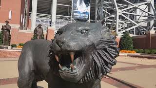 JRSP assignment (Tiger Statue Reveal)