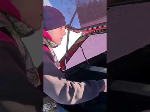 обзор на таврию