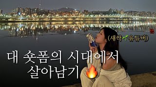 꽁꽁 얼어붙은 한강 위로 벨북이가 걸어다닙니다🐢( 새싹 유튜버 리얼일상 vlog. ) #초보유튜버