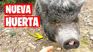 ¡Paseo por la HUERTA DEFINITIVA! ¿Me Compro una Casa? | La Huerta de Ivan