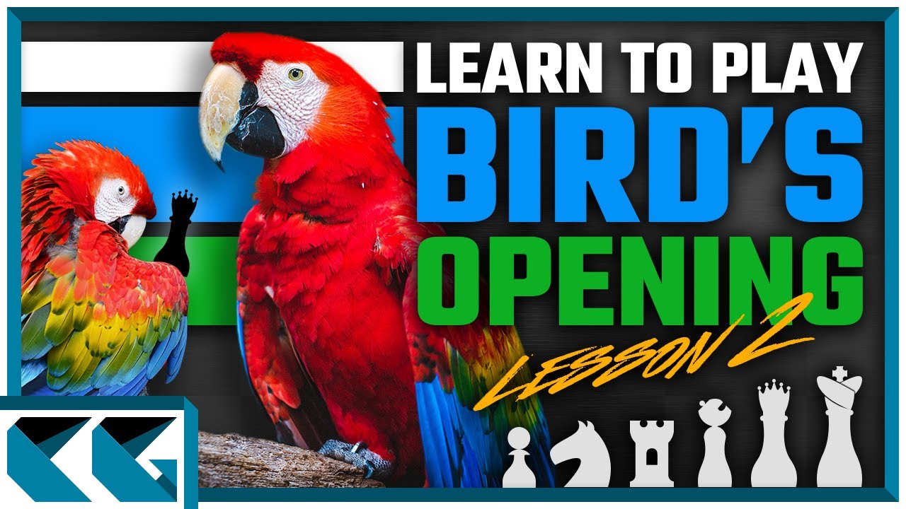 Bird Opening - Chess Pathways