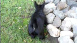 20110918 13