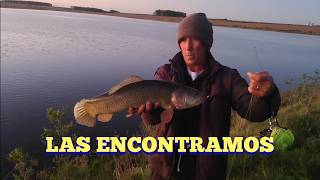 Si no pica, hay que moverse para buscar el pescado
