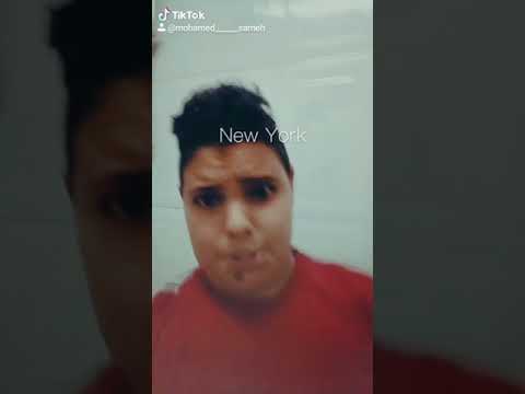 تيك توك دول دول دول شاغلين دماغهم بينا اكتر منهم
