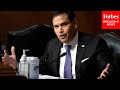 'Marxism, Socialism Doesn't Work': Marco Rubio Makes Passionate Speech Against Cuba's Government