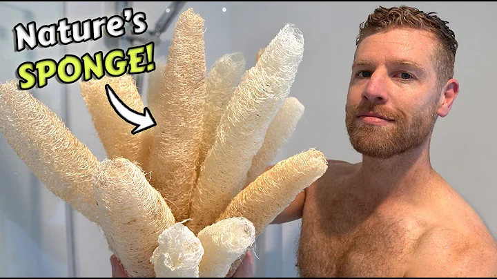 How To Grow Luffa from START to FINISH - Grow your own Loofah Sponges!