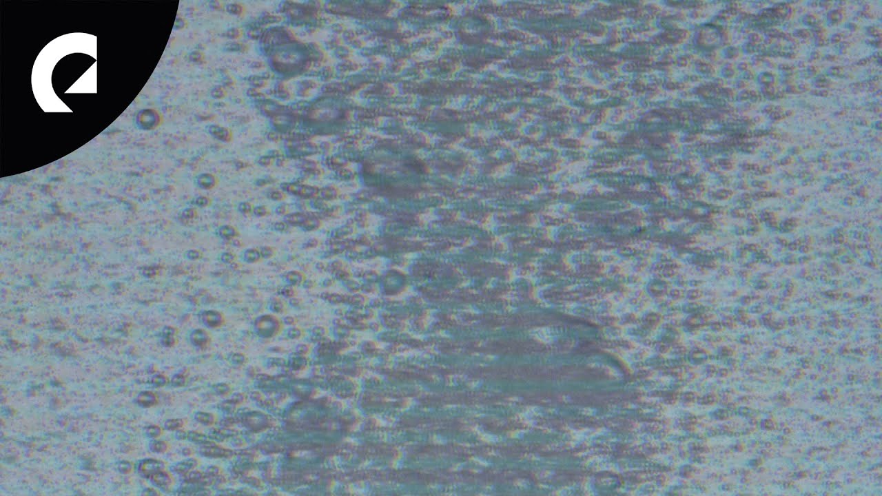 Justnormal - Animal Crackers