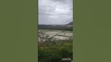 this weather 🌧️✨। aesthetic status। WhatsApp status। status video #shorts #status #rain