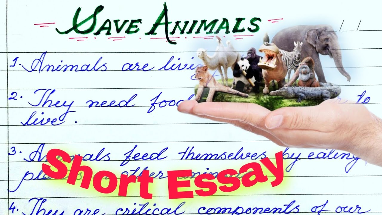 save animals essay for class 4