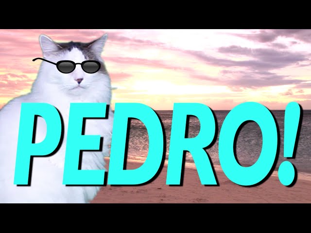 HAPPY BIRTHDAY PEDRO! - EPIC CAT Happy Birthday Song