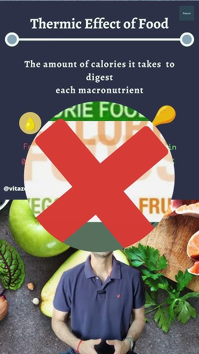 what-is-the-thermic-effect-of-food-youtube