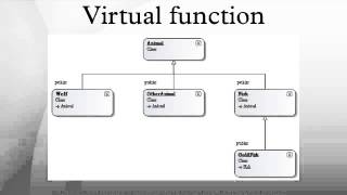 Virtual function