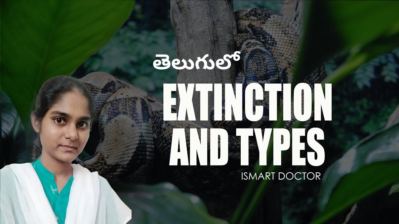 Biodiversity Extinction and types in Telugu YouTube