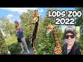 First time in lodz zoo  pierwsza wizyta w lodzkim orientarium 2022