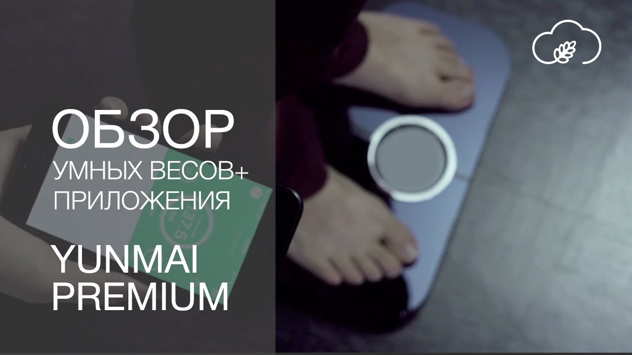 Весы hyundai приложение