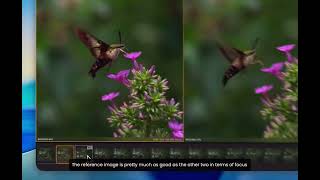 Super Fast Culling of Hasselblad X2D II Files. This will change the way you shoot.