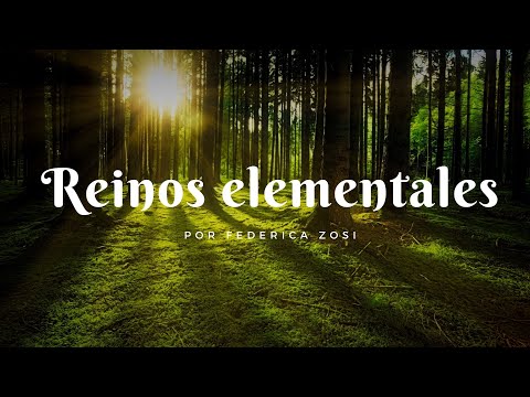 Vídeo: Vida Elemental (gnomos, Sílfides, Salamandras, Ondinas) - Vista Alternativa