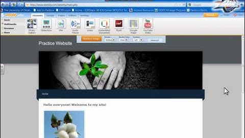Using Weebly.com to Create A Free Website-Intro