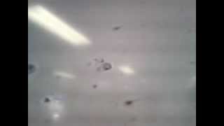 Semen al microscopio espermatozoides ...