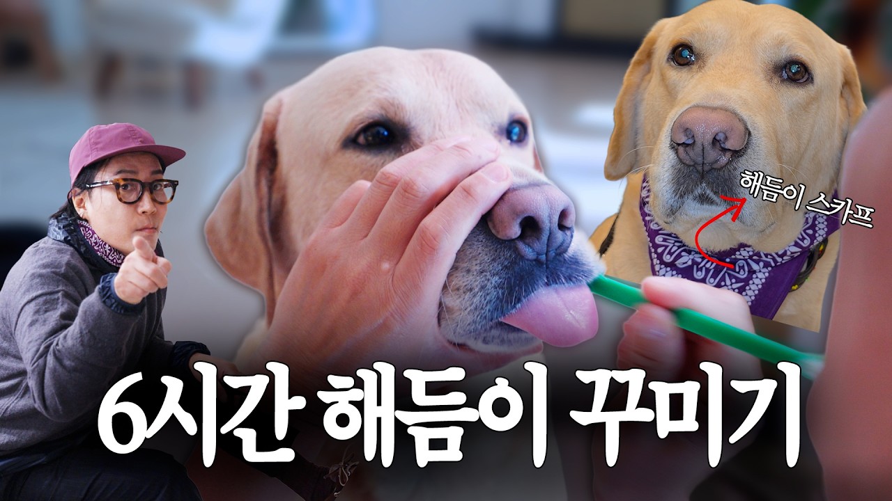 고생은 내가 다 하는데 너가 제일 피곤해 해서 너무 억울함;;