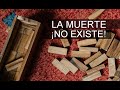 ¡La muerte no existe! Asegura teoría de la física cuántica (BIOCENTRISMO)