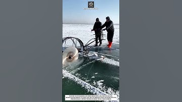 Ice Cutting Tool Innovation with Rotary Blade System for Accurate Block Harvesting #innovation