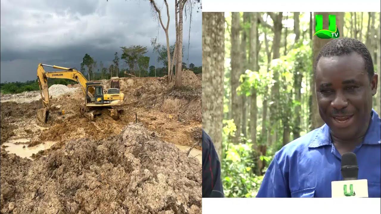 AYEKOO: WE ARE PLANTING TREES TO PROTECT THE ENVIRONMENT AND ALSO CREATE JOBS – Nana Dwomoh Sarpong