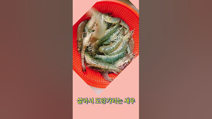 살아서 도망가는 흰다리 새우(White-legged shrimp running away alive)