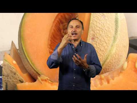 Video: Come Scegliere Un Melone