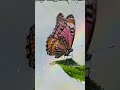 From Art to Video