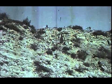 მისთერ ტროლოლოს ცნობილი სიმღერა \"ორერა\"-ს შესრულებით