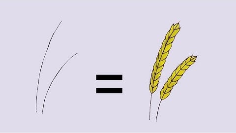 How to draw Wheat flour 🌾🌾😱 || Wheat Drawing Simple || Atikulart