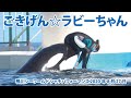 ごきげん☆ラビーちゃん【2020年8月27日　鴨川シーワールド　シャチパフォーマンス】Killer whale performance, Kamogawa Sea World, Japan