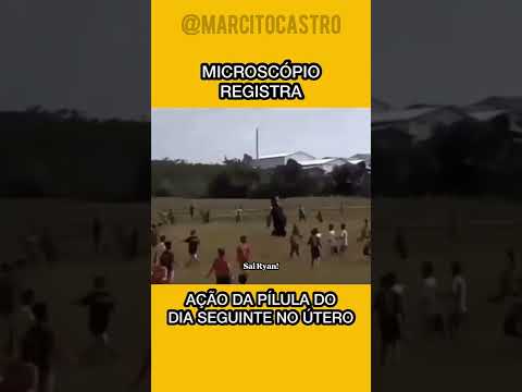 7 de maio de 2022