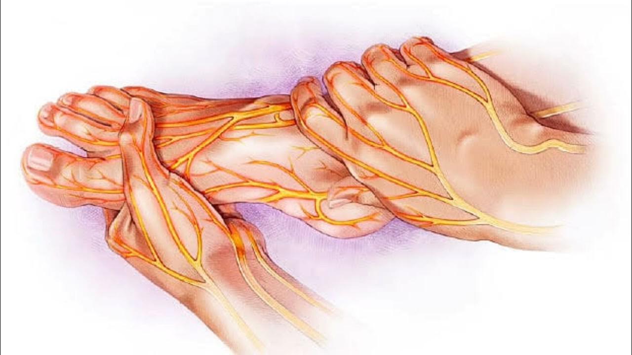 Нейропатия пальцев. Периферическая полинейропатия. Периферический полиневрит. Блуждающая нейропатия.