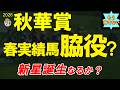 【もう待てない！】秋華賞2026全頭診断｜モンローウォーク一強ムードに違和感…高速京都2000mで勢力図は変わるのか