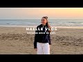 Maelle vlog et cest nimporte quoi   on cherche de la dco de nol pour la maison 