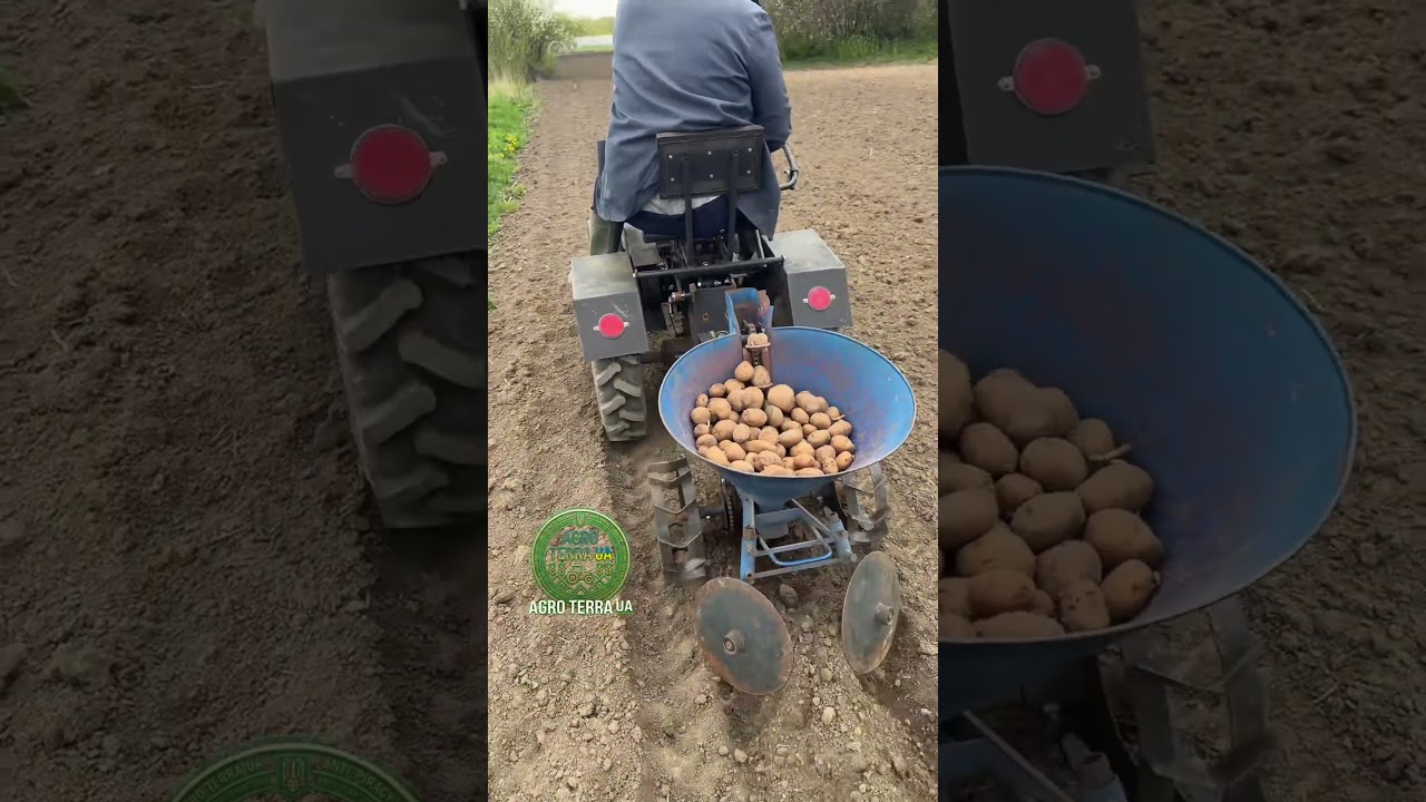 КАРТОПЛЯНА САДЖАЛКА ДО МОТОБЛОКА 😱😱 #farming #трактор #agro #agriculture