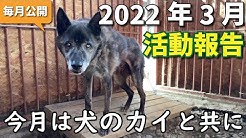 Npo法人犬と猫のためのライフボート Youtube