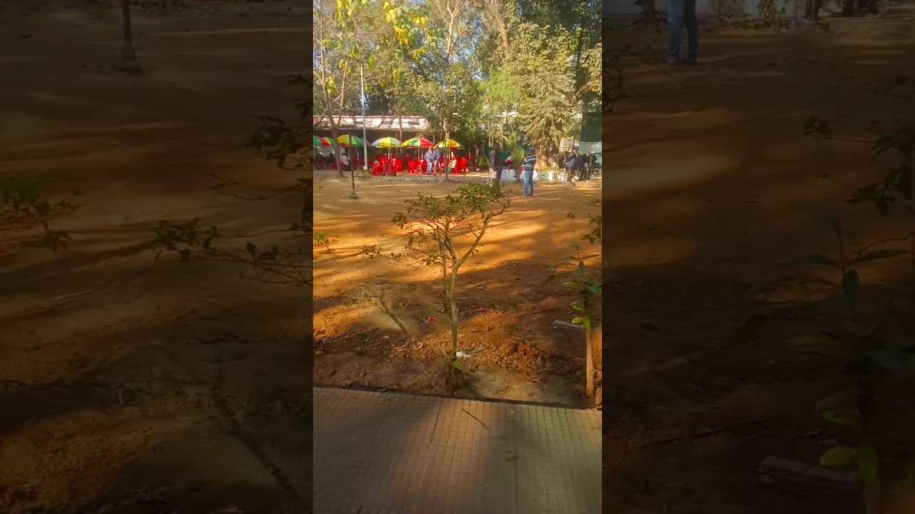 🌅 Subah Ki Smile, Chai Aur Sukoon | 2025 Morning Mini Vlog ☕✨ 