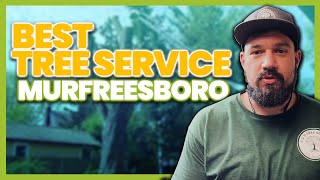 Best Tree Service Provider in Murfreesboro TN