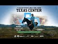 1 leilo virtual qm  long horn texas center   criar leiles