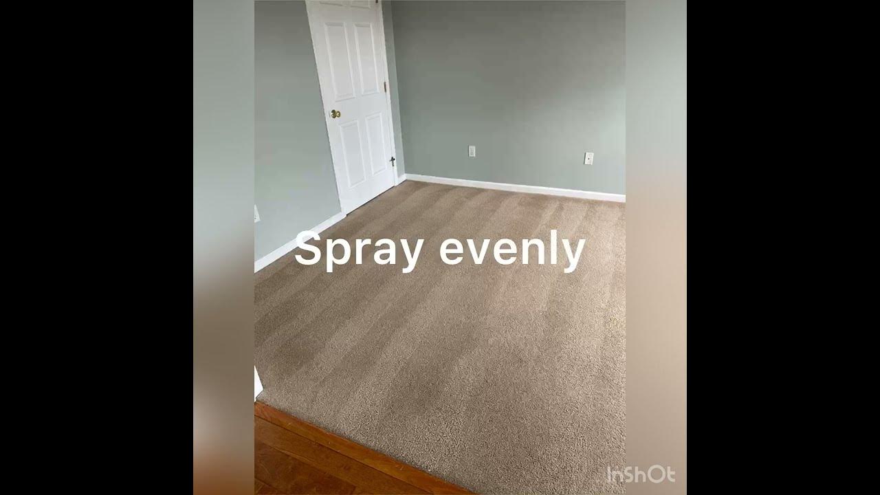 Carpet cleaning Vermont. Cleaning the right way. YouTube