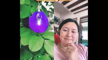 #shorts#subscription #nicesaying