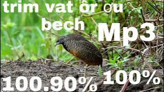 18 កញ្ញា 2022