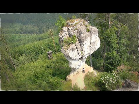 Video: Údolie Stratených životov