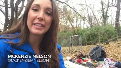 Man caught on camera dumping dead deer