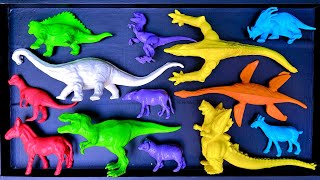 clean up the muddy animals of jurassic world velociraptor, tirex, mosasaurus, apatosaurus, domba.